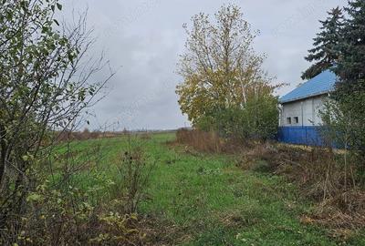 Teren de 18469 mp, în Butimanu - 3