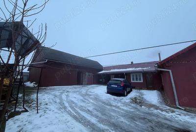 Vand casa in Jud Suceava, com Grame?ti, sat Verbia. - 3