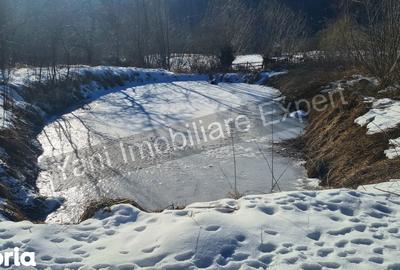 Casă cu 3 camere cu Teren 3877 Mp în Valea Danului - 10