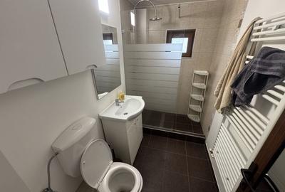 Apartament cu 2 camere decomandat, mobilat în Casa de Cultură - 7
