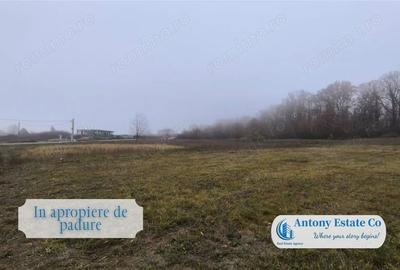 Teren de 703 mp, în Paleu - 6