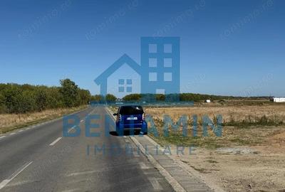 Teren de 1000 mp, în Sud - 4