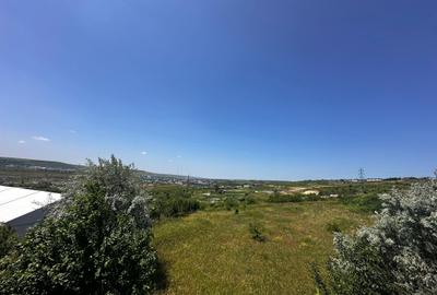 Teren intravilan, 1155mp - zona Antibiotice, la 300m de soseaua principala DN28 - 3