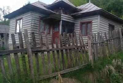 Casa batraneasca de Vanzare - 2