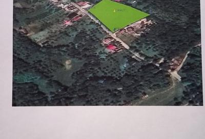 Teren de 10300 mp, în Central - 5