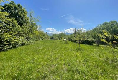 Spațiu comercial, în Central - 5