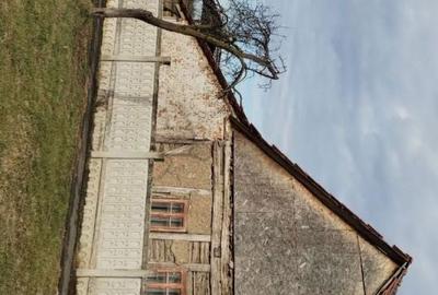 Casă cu 4 camere cu Teren 6153 Mp în Sinersig - 8
