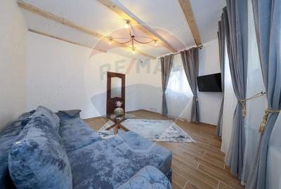 Casa cu 2 camere + curte 40 mp in zona Centrul Istoric - 16