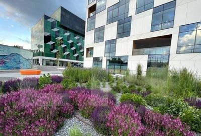 Spațiu comercial, de 405 mp, în Semicentral - 12