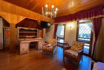 Vila de vanzare in Sinaia !!! Priveliste spectaculoasa spre muntii Bucegi!!! - 3
