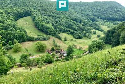 Teren pentru investi?ii in Luncoiu de Jos - 2