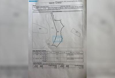 Teren extravilan de 47000 mp, în Sichevița - 1