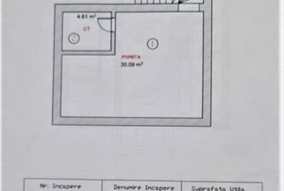 Casă individuală cu 12 camere cu Canalizare în Cristian - 8