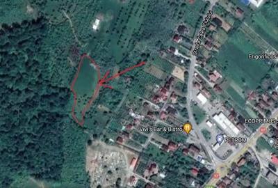 Teren de 1000 mp, în Viișoara - 2