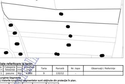 Teren extravilan pasune Ardeoani, ID: R2404603 - 9