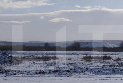 Teren intravilan, 8633 mp, Rascruci - 2