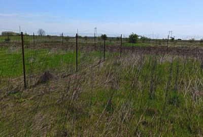 Spațiu comercial, în Periș - 1