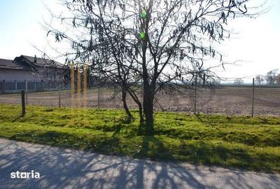 Teren de 5600 mp, în Sălcioara - 3