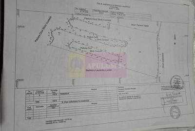 Teren agricol extravilan de 62600 mp, în Albota - 3