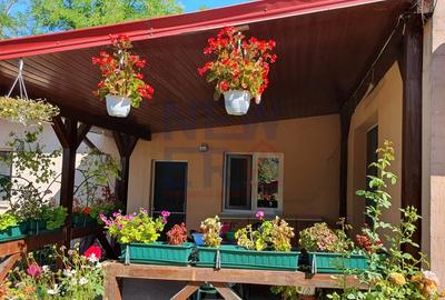 Vila P+E de vanzare, teren 1.132mp, Piscu, Ciolpani, dubla deschidere - 6