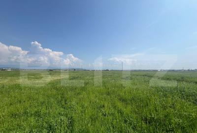 Teren de 10000 mp, în Debarcader