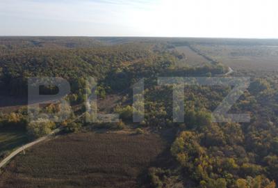 Proprietate de vanzare, 1000 mp, sat Garleni - 20