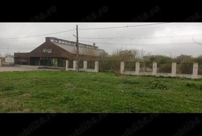 Teren în Topraisar - 9