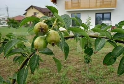 Casa individuala, 155 mp utili, 692 mp teren, Cornesti-Mihai Viteazu - 5