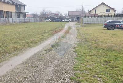 Teren 519mp Dumbrava Rosie / Strada CRANGULUI - 26