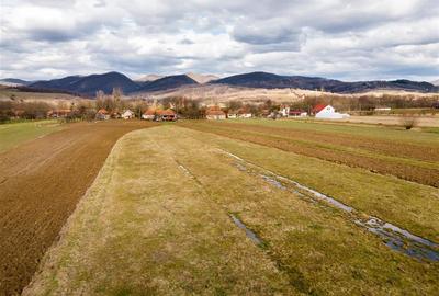 Teren Construcții intravilan de 2900 mp, în Borod - 1