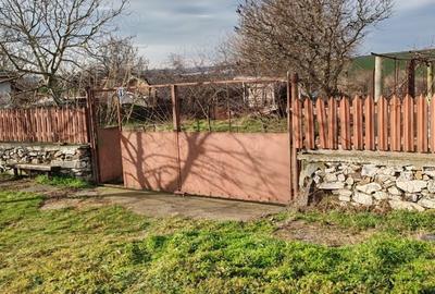 Teren de 2900 mp, în Grădina - 3