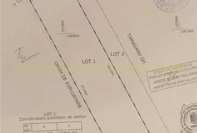 Teren de 26715 mp, în Mogoșoaia - 1