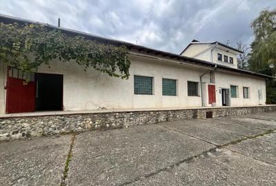 Spatiu comercial multifunctional, 1592 mp, Cacica (Pirtestii - 4