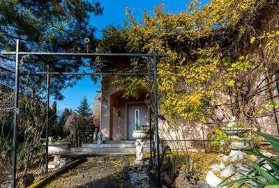 0%  COMISION! Casa individuala, garaj, 950 mp de teren, Borhanci - 29