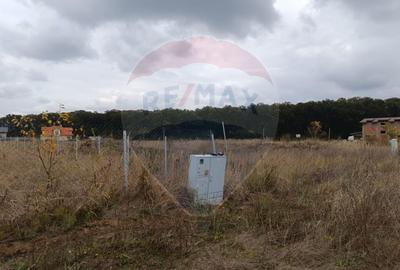 Teren 1,500mp Ghermanesti / Strada Cetatea neamtului Teren 1,500mp Ghermanesti / Strada Cetatea neamtului - 9