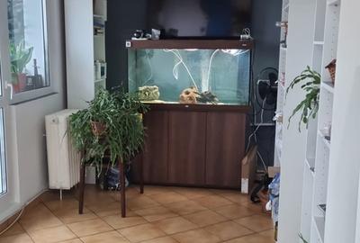 Apartament cu 4 camere semidecomandat în Crângași - 7