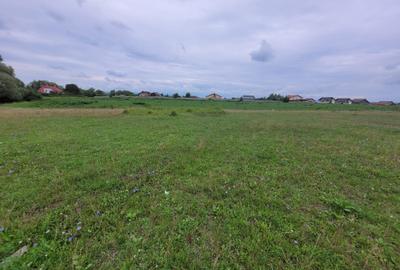 Teren intravilan 947mp, Sanpetru, Brasov - 10