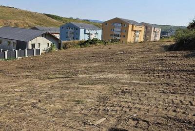 Spațiu comercial, în Vișan