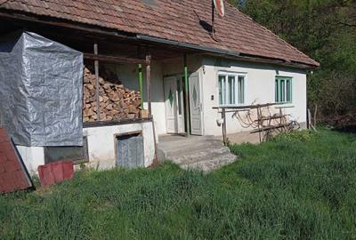 Casă cu 2 camere în Central - 7