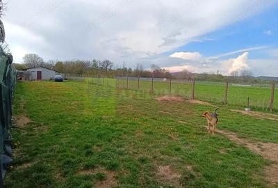 Teren de 1310 mp, în Urleta - 1