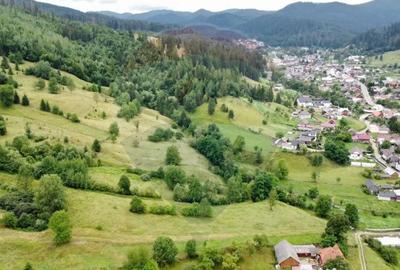 Teren de 6865 mp, în Voroneț - 3