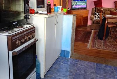 Casă cu Teren 11000 Mp în Sălișca - 6