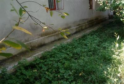 Casă cu 5 camere cu Teren 3800 Mp în Central - 1