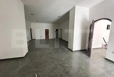 Spatiu comercial, 293 mp/129 mp, zona ultracentrala cu Vad