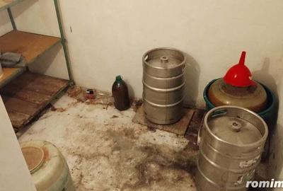 Casa 5 camere Coiciu - 6