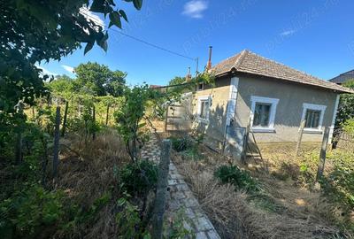 Casa de vinzare 4 camere - 3