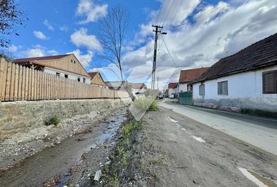 Casa 3 camere, 432 mp teren - Cisnadioara - 11