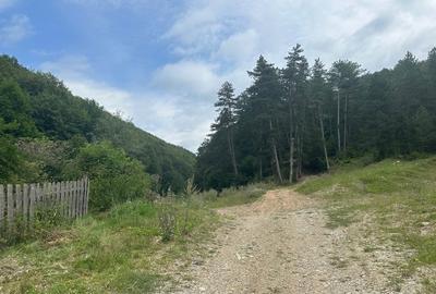Casă tradițională în Valea Zălanului – acoperiș refacut teren 1.690 m² Casă tradițională în Valea Zălanului – acoperiș refacut teren 1.690 m² - 8