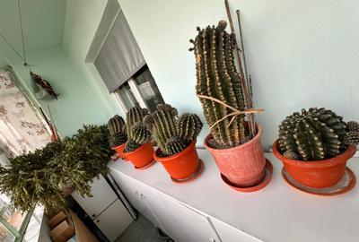 Apartament spa?ios, ideal pentru familie zona Tomis Nord, C - 13