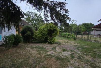 Apartament cu 2 camere decomandat în Orțișoara - 3